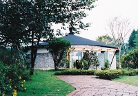 ついに、姿を現した美術館