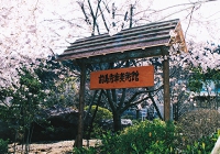 桜舞うなかで…「前島秀章美術館」完成