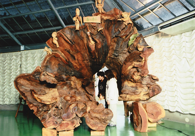 八幡さまの大欅を使った「巨木のトンネル」