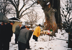 気持ちが再生して生まれ出る。巨木のトンネル、それは産道を意味している。