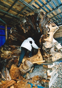 大きな洞窟のような大欅の中に吸い込まれていくと、樹齢800年とも云われる巨木の心臓は、まさに神の領域であった。