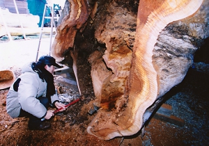 気の遠くなるような長い歳月、土の中に根を張り、水を吸い上げ、太陽の光を浴びて育ってきた八幡さまの大欅よ