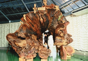 完成した大欅トンネル。