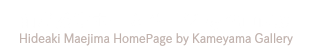 前島秀章ホームページ by 亀山画廊